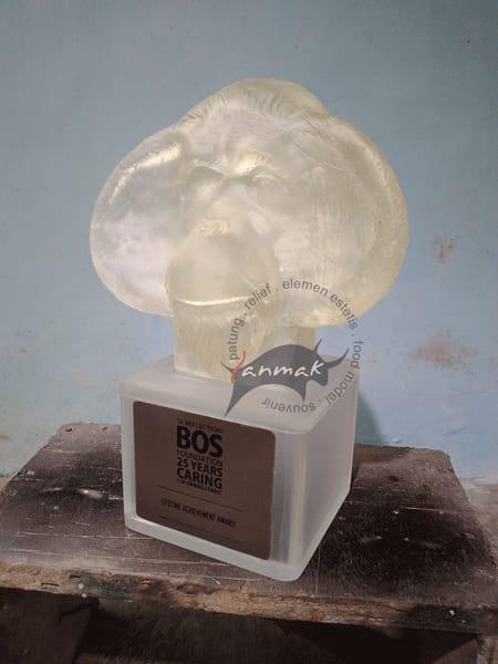 award resin