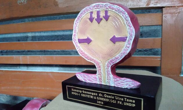 Souvenir Bidang Kedokteran