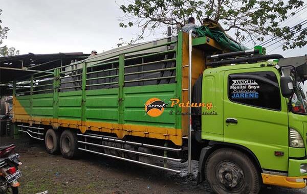 transportasi